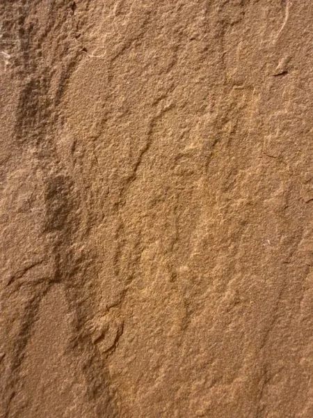 Camel Dust Sandstone